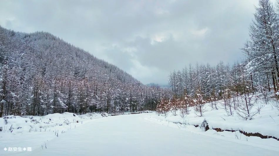 一场雪后,天水最美山村雪景图来了,宛若仙境,又仿佛回到小时候