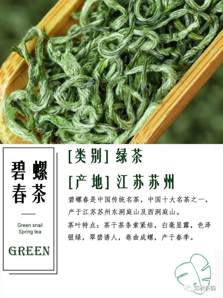 碧螺春 绿茶 江苏省太湖洞庭山