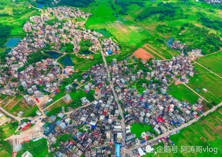 广东各县市姓氏人口_广东外地人口占比