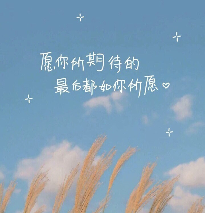 超治愈书单文案