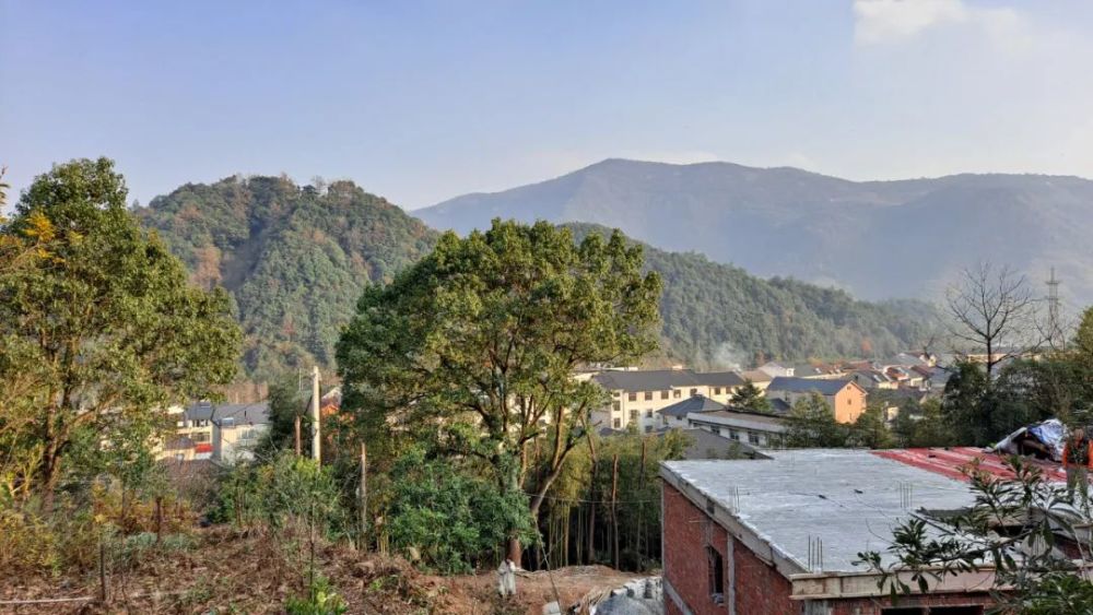 什么竹巷成语_成语故事图片(2)