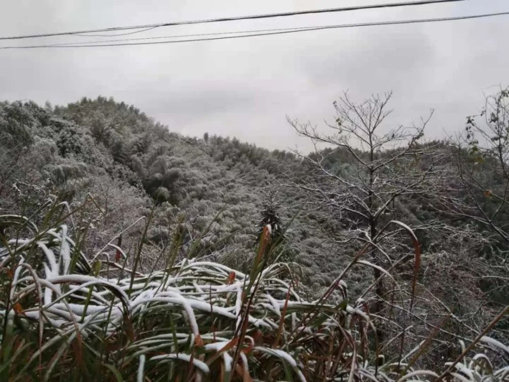 刘旗村人口_稔田镇太湖村人口(3)