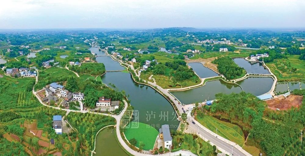 「江阳区」 江阳区丹林镇梨花村 江阳区黄舣镇罗湾村 江阳区通滩镇凤