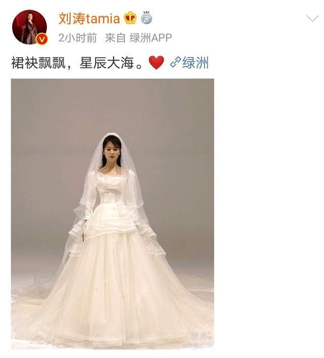 刘涛穿婚纱_刘涛穿高跟鞋图片(2)
