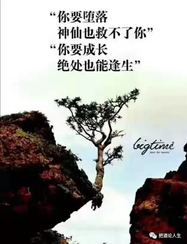 很喜欢配图中的这句话:你要堕落,神仙也救不了你;你要成长,绝处也能逢