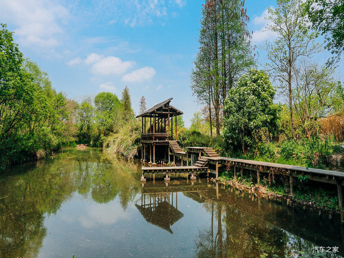 杭州自驾游,第二站西溪湿地公园