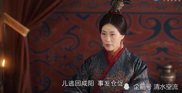历史上真实的华阳夫人究竟是个怎样的人物