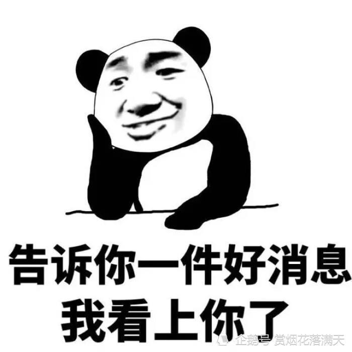 超级搞笑幽默的说说精辟有趣笑到停不下来