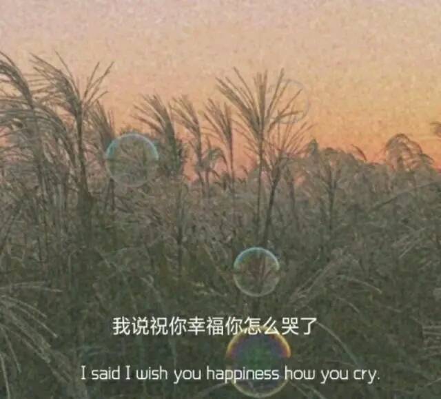 我说祝你幸福你怎么哭了