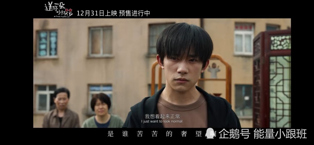 代入管乐，情感的共鸣与泪水的启示