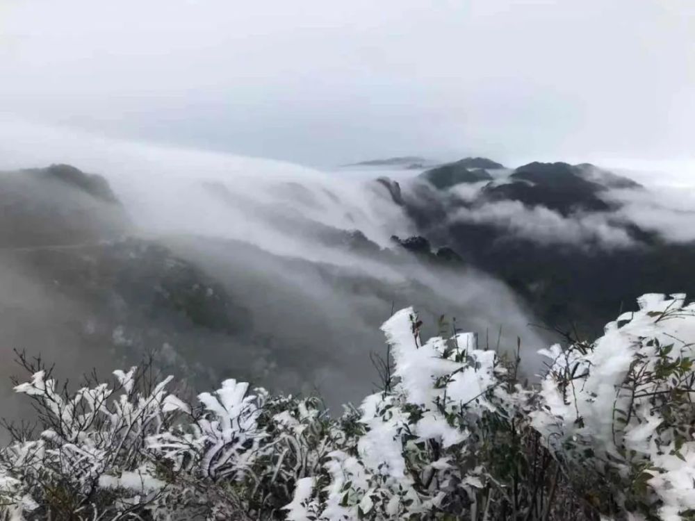 武鸣大明山化身"冰雪世界",雾凇云瀑美如仙境!