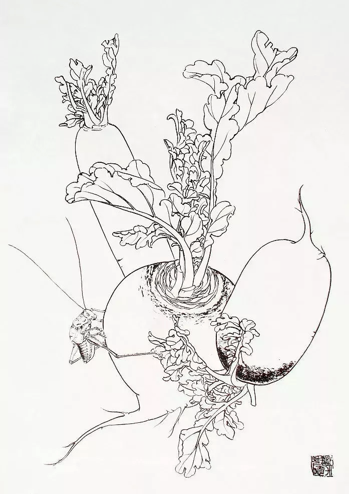 白描果蔬很实用的白描绘画