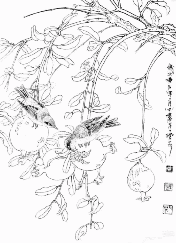 白描果蔬,很实用的白描绘画