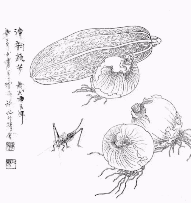 白描图杆▼叶▼牡丹▼玉米▼藤花▼秋蔬▼林木▼红柿▼菜花▼孙其峰