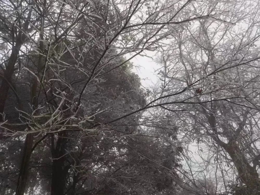 宁都:下雪了莲花山好漂亮,快带上心爱的人去玩吧!