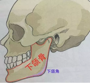 下颌角手术后效果不好是怎么回事|下巴|下颌角肥大