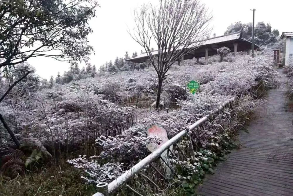 大雪山镇人口_筠连县大雪山镇周少平(2)
