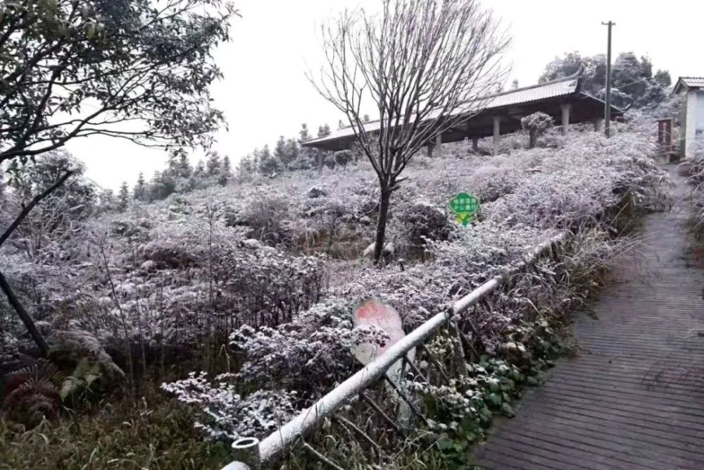 大雪山镇人口_筠连县大雪山镇周少平(2)