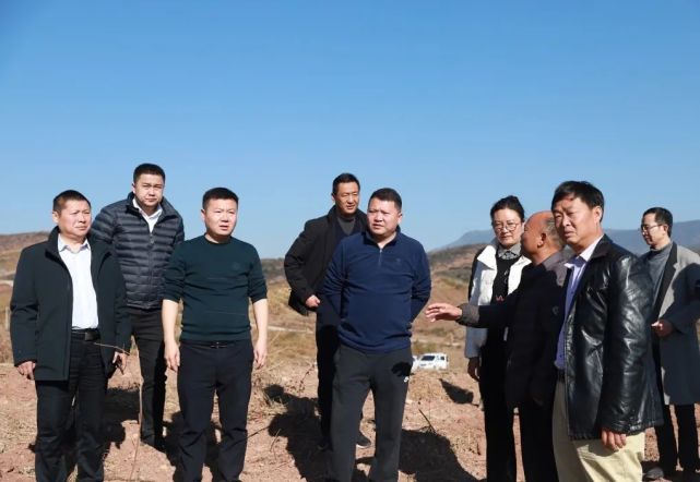 12月14日,县委副书记,县长高峰到姜州镇,鲹鱼河镇调研现代农业产业和