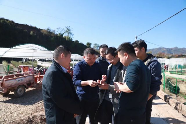 12月14日,县委副书记,县长高峰到姜州镇,鲹鱼河镇调研现代农业产业和