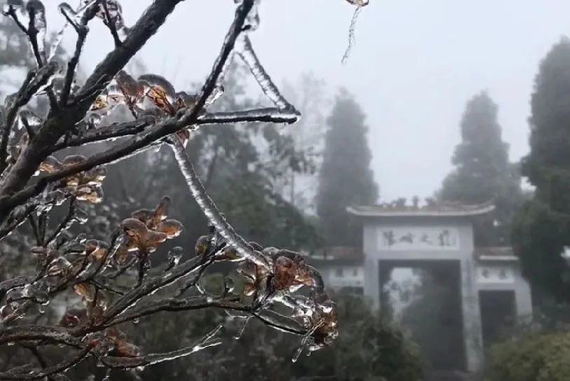 赣州峰山,双溪草山,阳明山下雪啦!雾凇,冰挂,雪景图来啦,快来看看