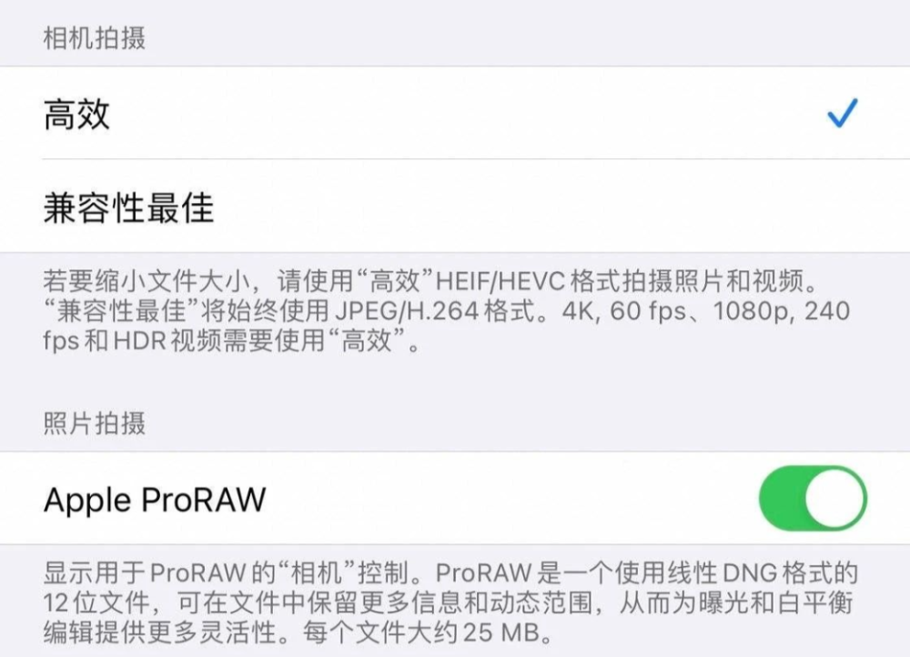 raw格式和gdp格式的区别_raw格式照片(2)
