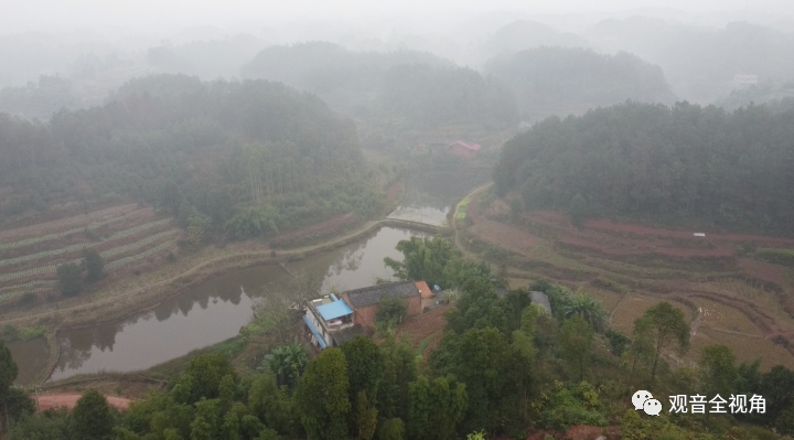 叙州区观音镇发展油茶产业推动乡村振兴