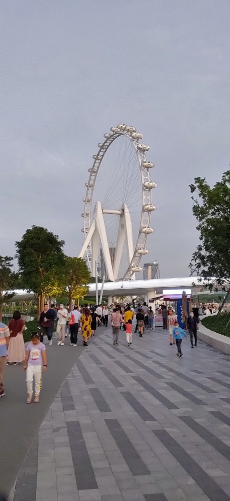 深圳宝安欢乐港湾公园,夜幕下的摩天轮.