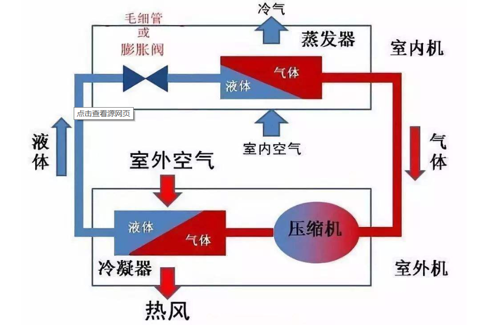 细菌开大会是什么成语_细菌门是什么(3)