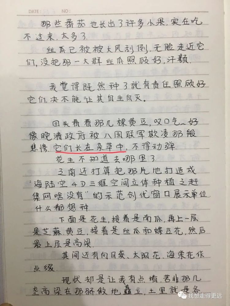 下定决心回家种地简谱_回家萨克斯简谱(3)