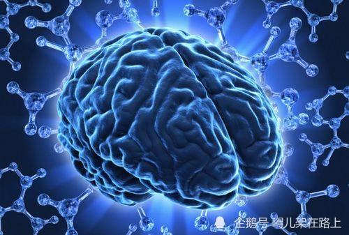 梦境中的奥秘，解读做梦梦见蛇蛋的深层含义
