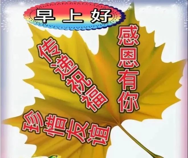 1月13日早上好问候祝福动态表情图片最美早安问候语动态图片表情