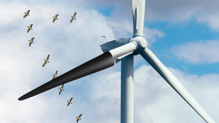 一只叶片被涂成黑色的风力发电机(图源:arstechnica.com)