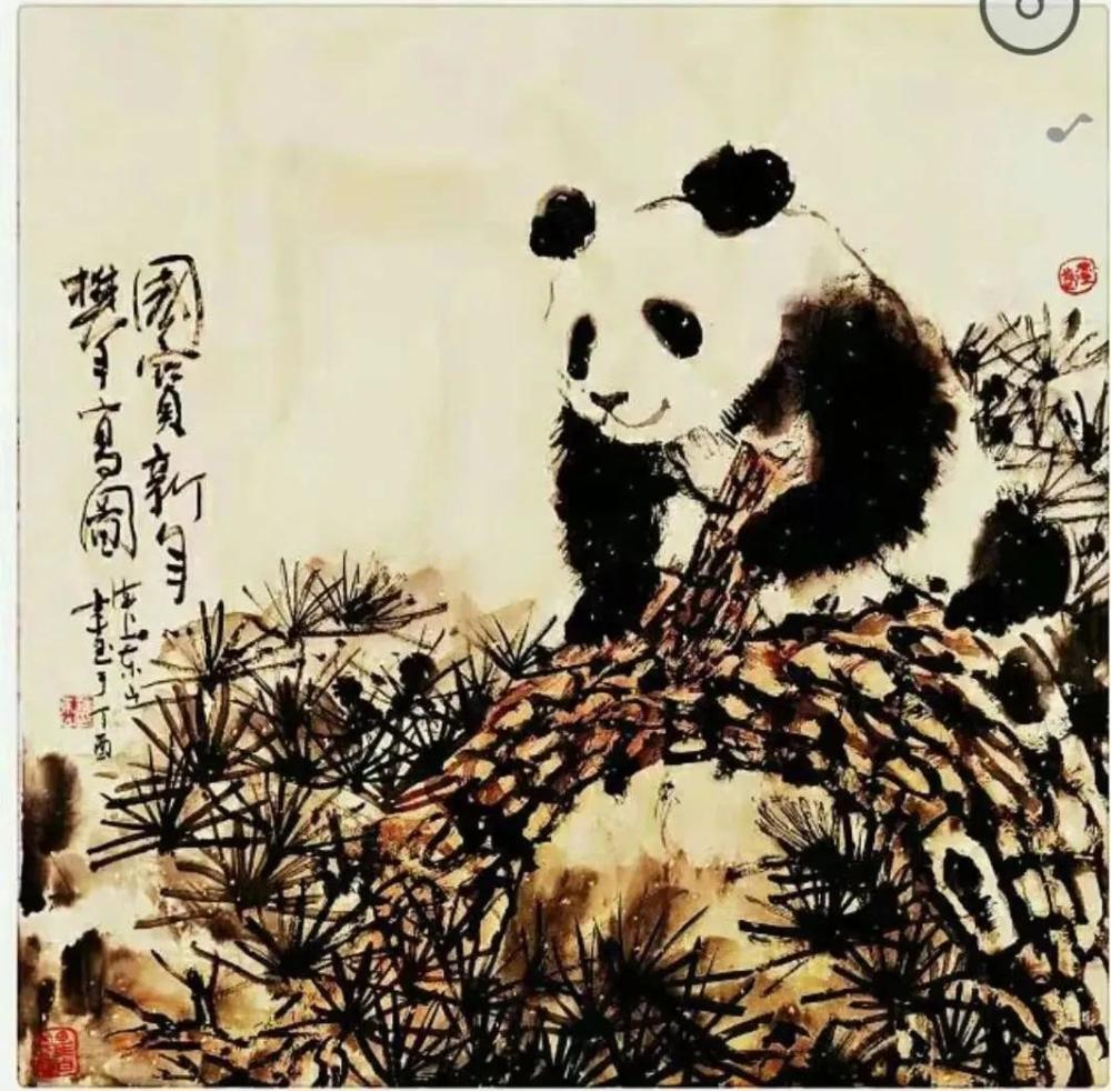 "搜尽奇峰打草稿,画遍熊猫出新意"——著名熊猫画家楼