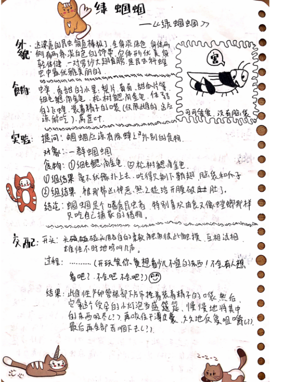 共读|凶猛的绿蝈蝈——《昆虫记》师生共读记