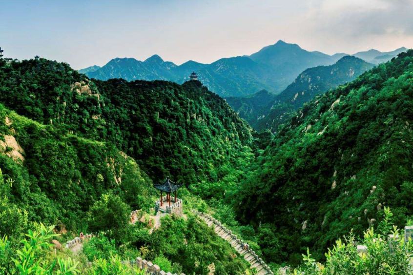 济南钢城区gdp2019_济南钢城区实验小学(3)