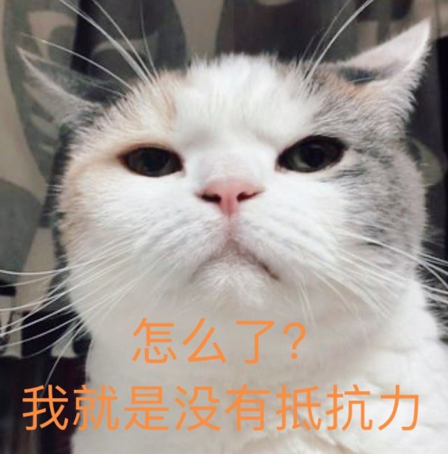 萌宠表情包:怎么了?我就是没有抵抗力!