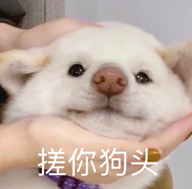 萌宠表情包:小猫咪驾到通通闪开!