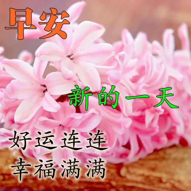 早上发朋友圈简单快乐的正能量感言,凡是美好的清晨祝福图片