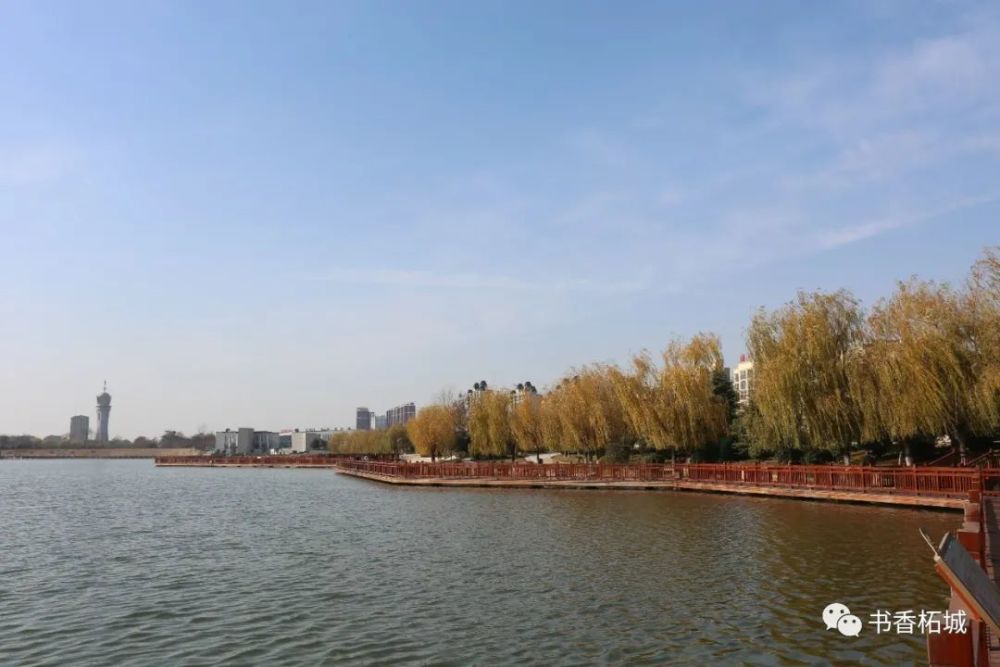 河南柘城冬韵美景风光旖旎惹人爱