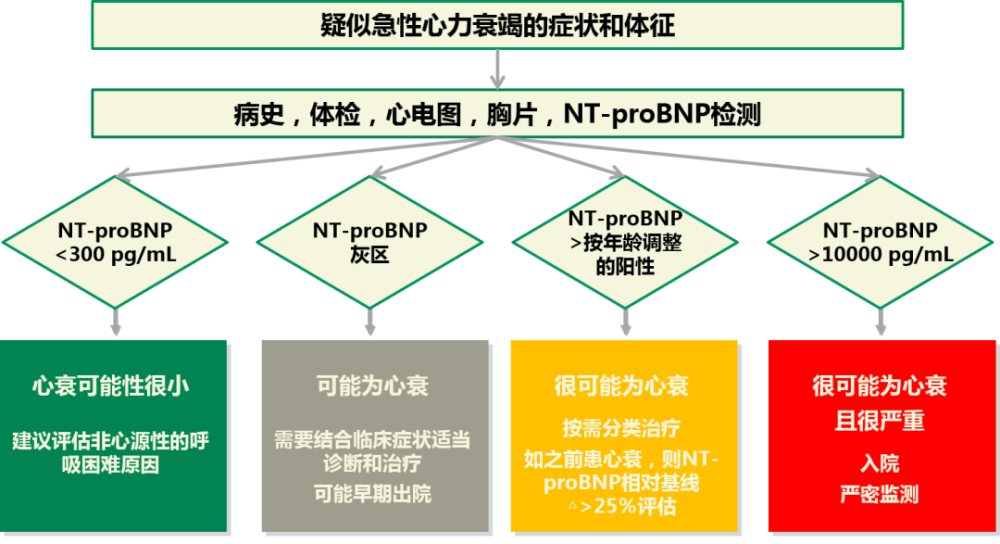 nt-probnp用于心力衰竭诊断和评估,牢记几个数字