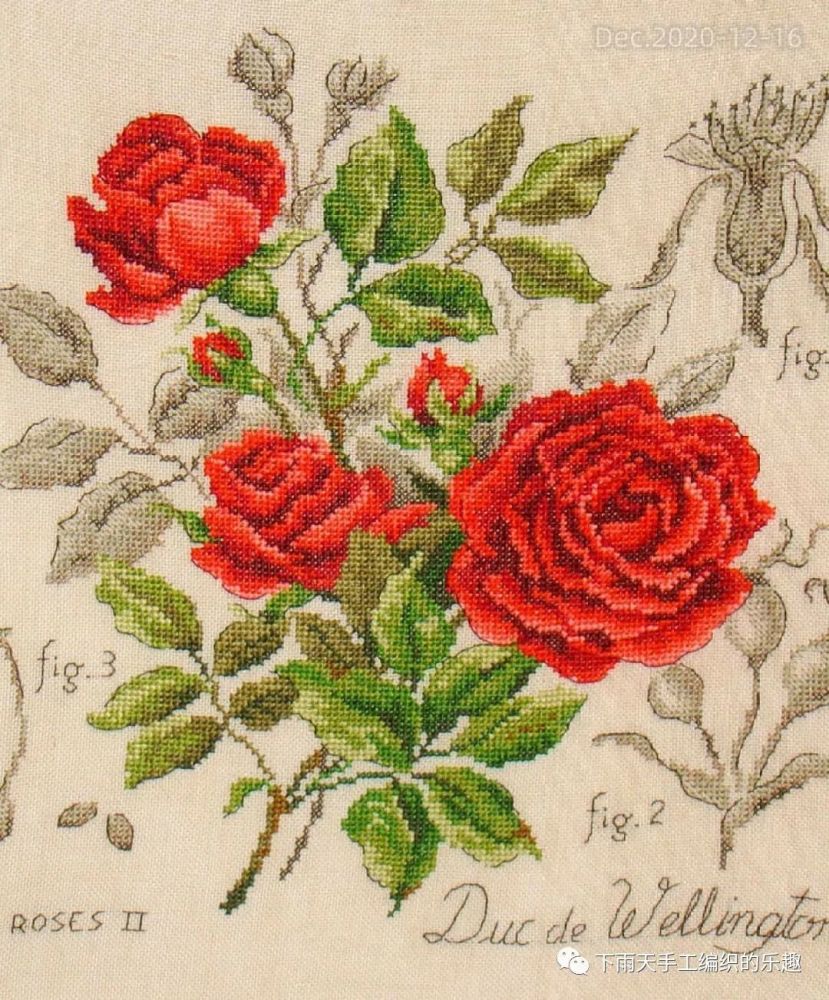 【像素图】黑色毛衣搭配红色绣花,太艳丽了!玫瑰花网图绣图