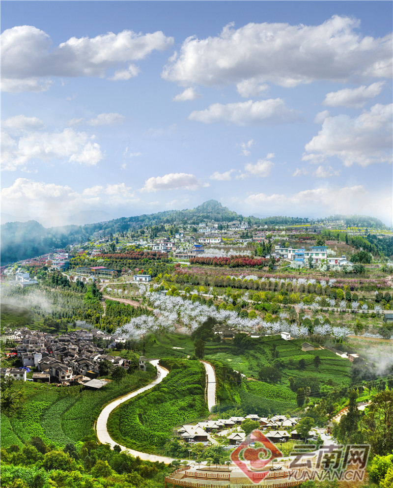 巧家县,镇雄县,彝良县,威信县,盐津县,大关县,永善县,绥江县和水富市