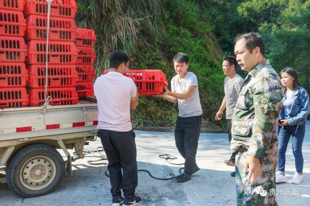 我的扶贫故事杨长友驻村变住村