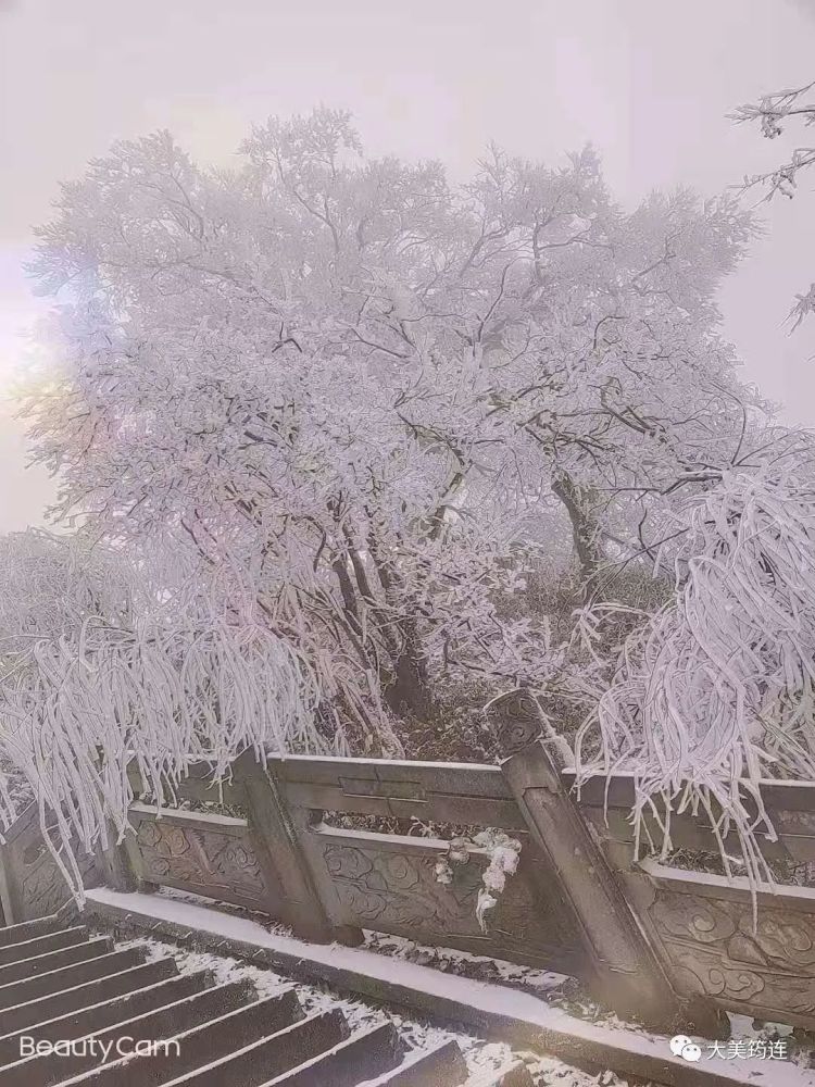 筠连大雪山下雪了,银装素裹!_腾讯新闻