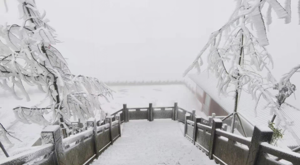 雪,雪,雪,华蓥山宝鼎开启赏雪模式