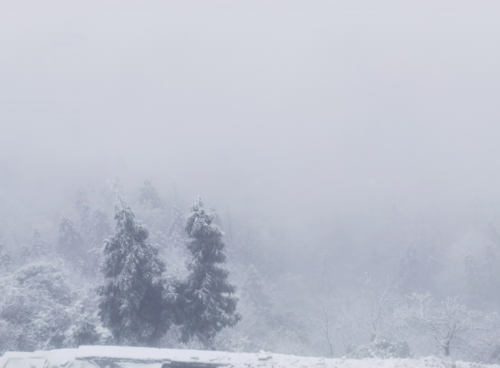 雪,雪,雪,华蓥山宝鼎开启赏雪模式