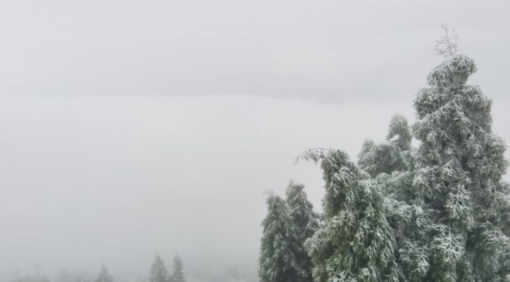 雪,雪,雪,华蓥山宝鼎开启赏雪模式