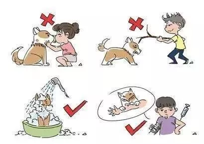 杭州萧山区通报确诊狂犬病病例,提醒做好狂犬病预防!