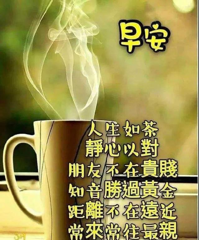 12月最新版早上好祝福语短句,早上很美的暖心早安祝福